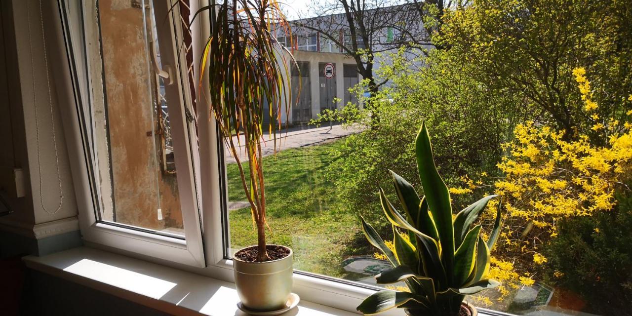 Kambariu Nuoma Kaune - Kaunas Extérieur photo